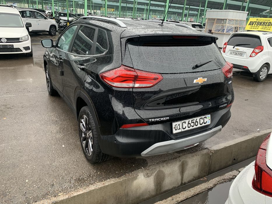 2023 primer krasta tozza