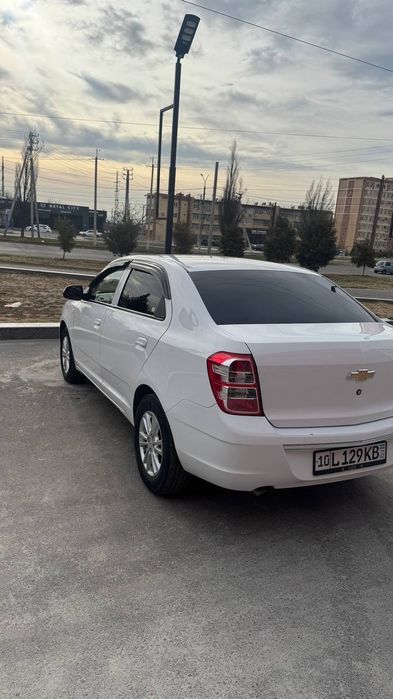 Cobolt 2023 sotiladi