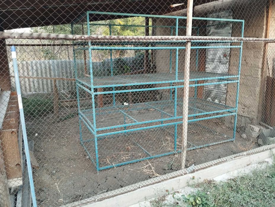 Клетка для разведения бройлеров