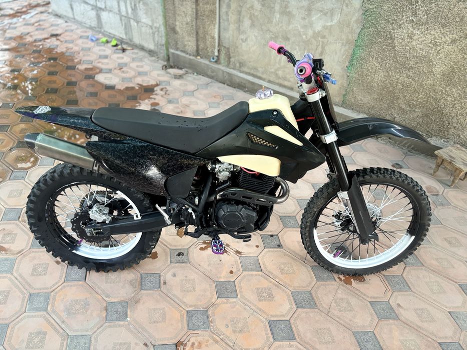 Progasi palma 300