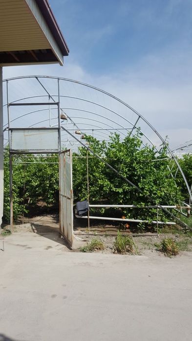 20 сот теплица сотилади