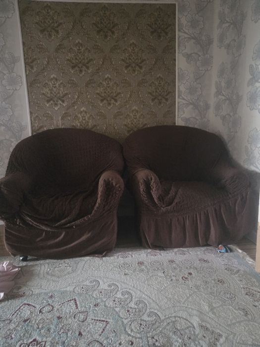 Бесплатно. Екі кресло жапқыщымен