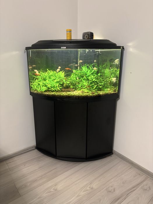 Acvariu Aquael trigon