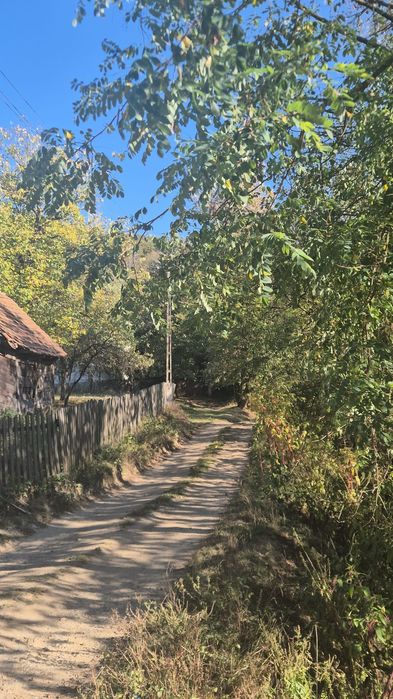 Casa și teren, Săvârșin, 47 mii euro