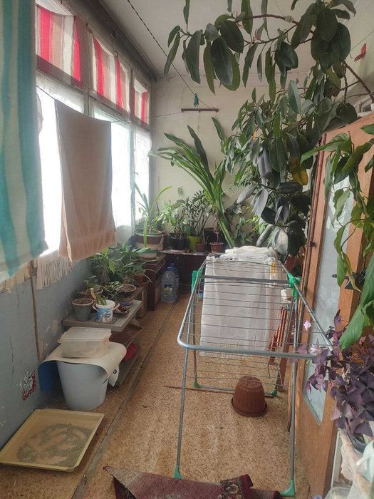 3/7/9 Куйлюк-7 метро Таларык