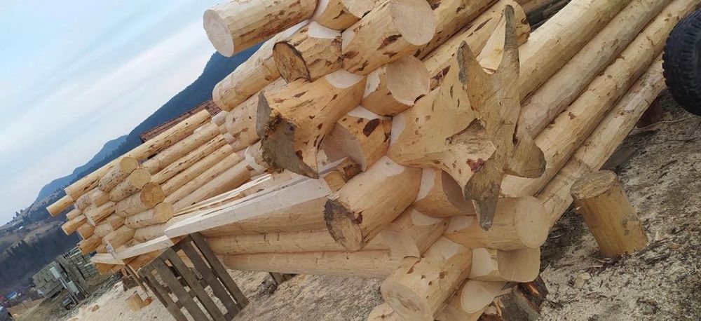 Case,cabane lemn rotund