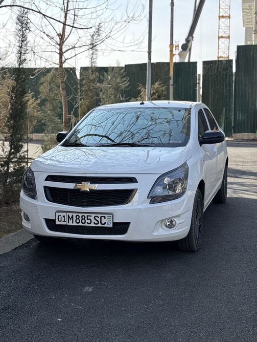 Cobalt Midnight MCM 2026