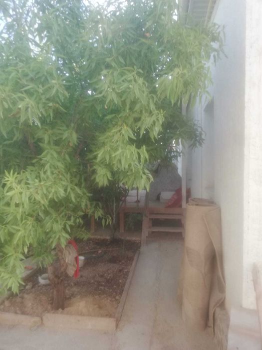 Прдается дом 15м на 15м