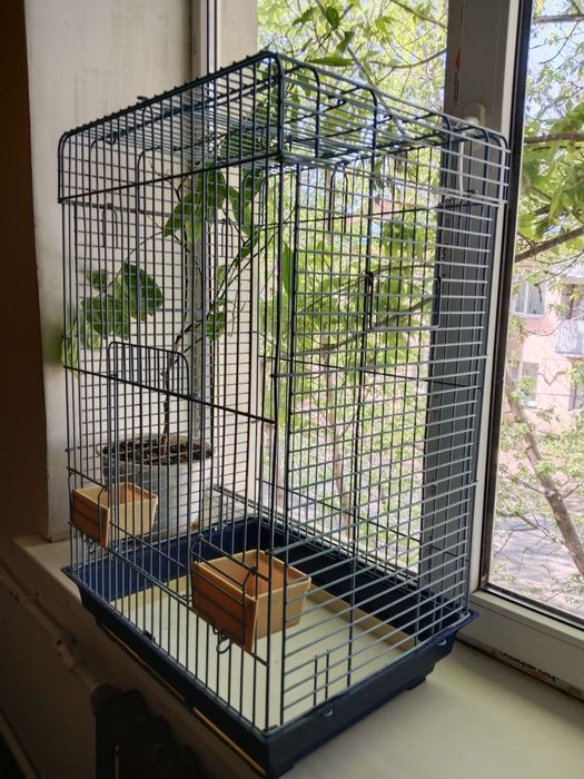 Клетка большая для попугаев.