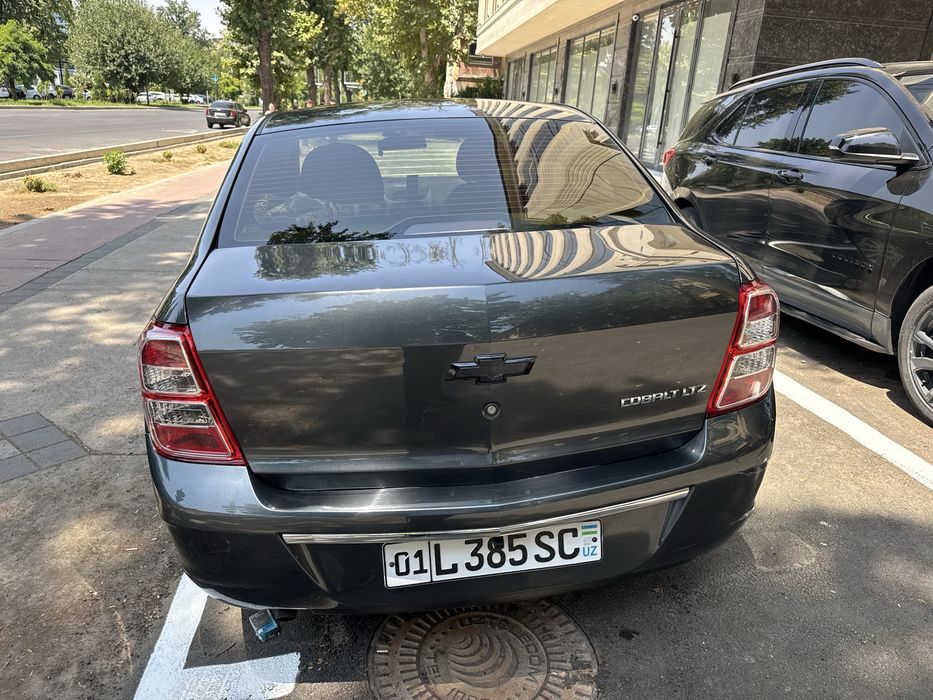 Cobl 2019 yil 203.000