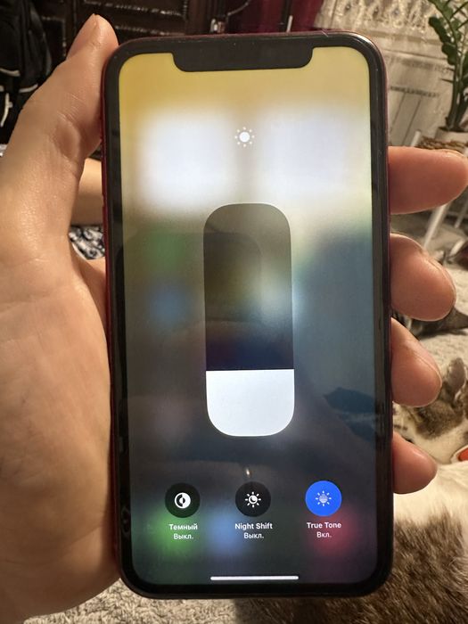 Продам iPhone 11 (Red)