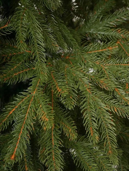 Искуственные Елки Шымкент