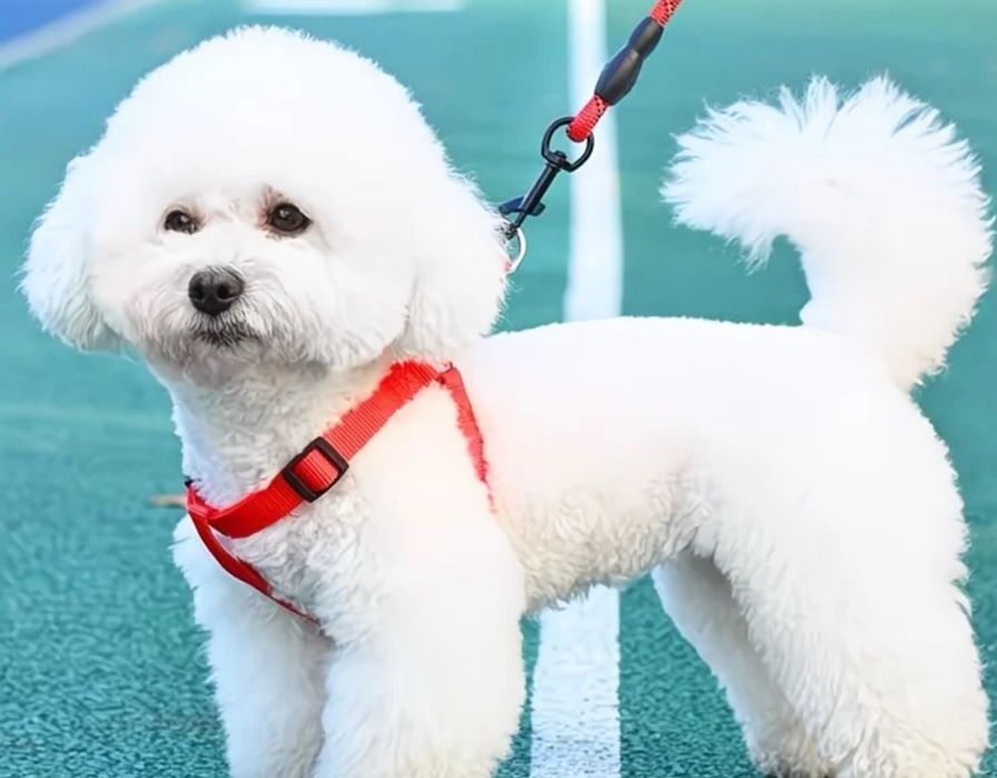 Жаңа заттар әр түрлі бағамен!!!