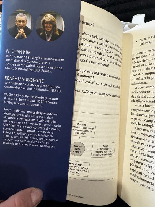 Carte ‘Strategia oceanului Albastru’