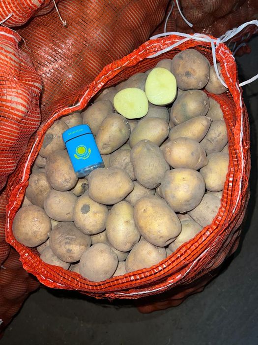 Продам семенной картофель