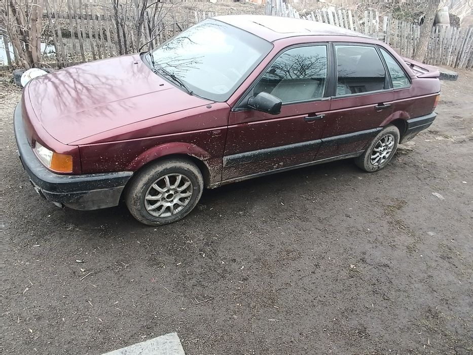 Продам живого пассата без гнили