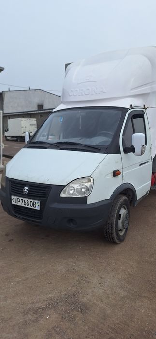 Gazel bartavoy Sotiladi srochna