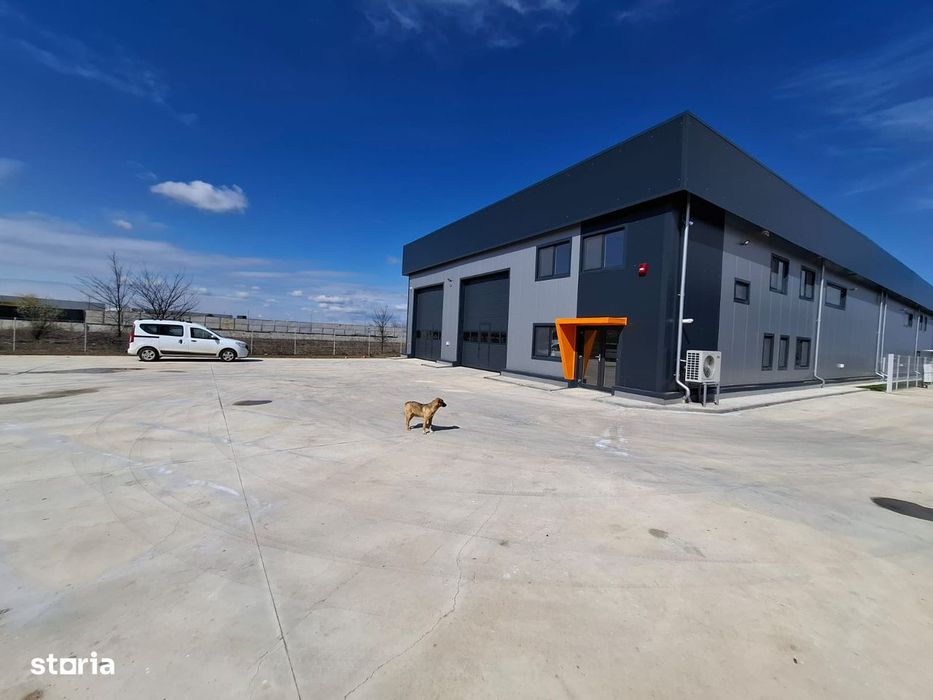 Hala industriala, Rudeni