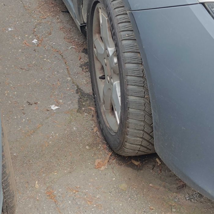 Seat Altea 4x4 FreeTrack