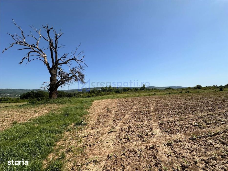 Teren langa padure pentru casa, Cercu, Barnova, de la 500mp la 4000mp