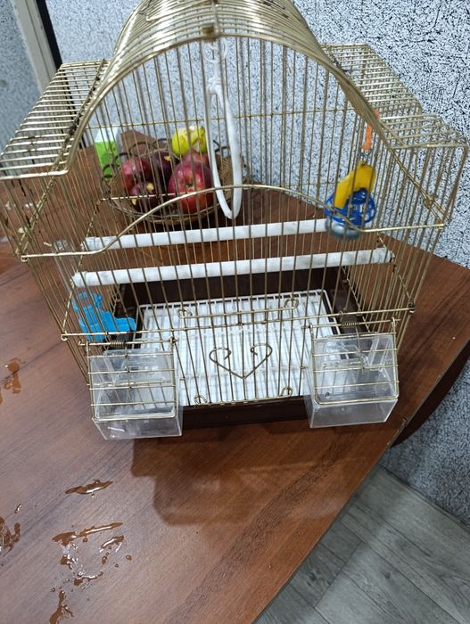Клетка для попугаев.