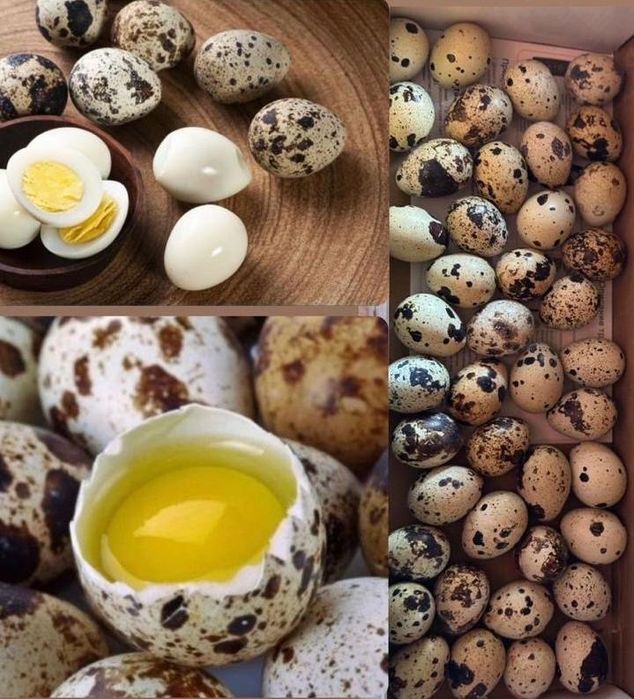 Перепелиные Яйца!!!В наличии и на заказ!!!