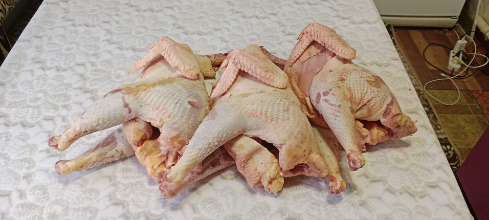 Домашние куры чищеные