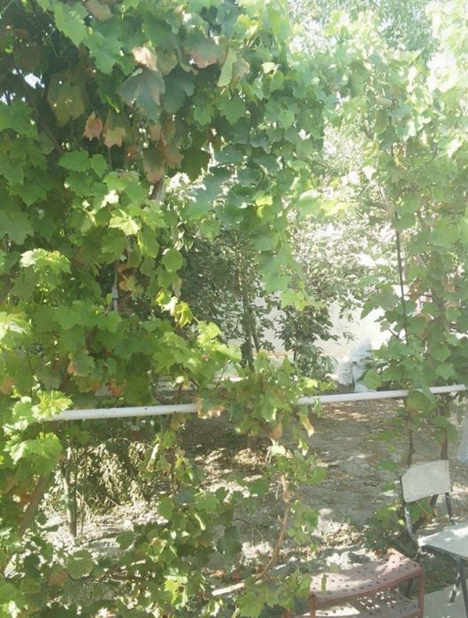 Зудлик билан сотилади 2 сотих катедж 3 хона саёхатда