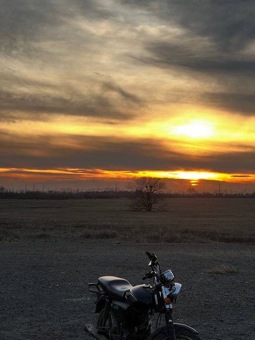 Альфа рейсер 110