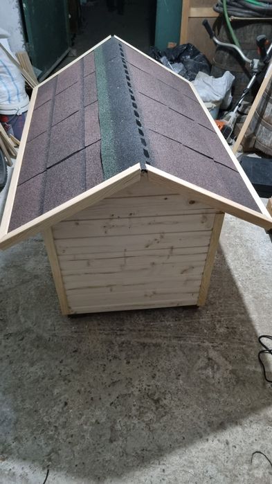 Cusca pentru caine izolata