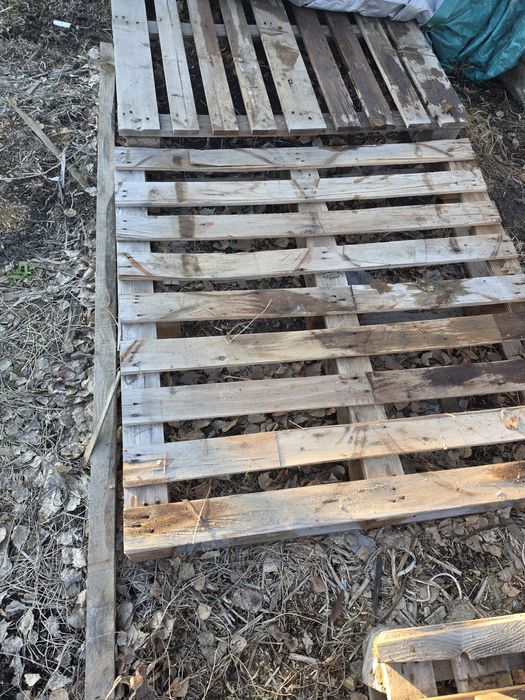 Продам поддоны по 2000тыч.