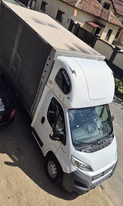 Trasport marfă in arad si in țară