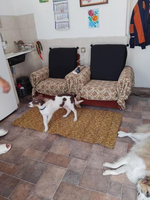 Подарява се бебе Бък