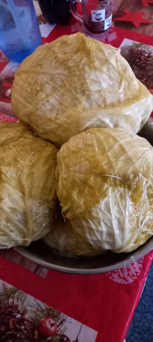 Vând varză murată cu frunza subțire