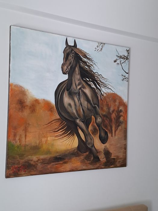 Tablouri pictor profesionist