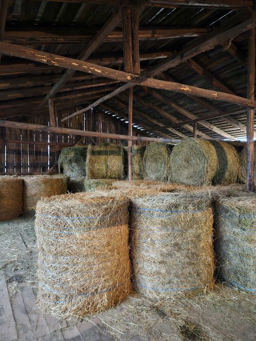 Baloți lucernă  120×110cm