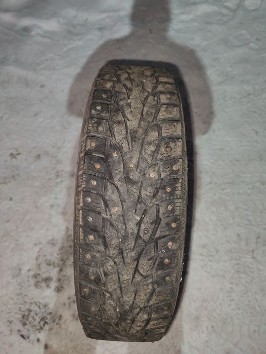 Газельге кыскы донгалак