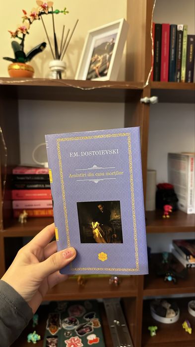 Pachet PROMO- oricare 3 carti 100 de ron