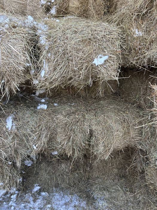 Продается сено в тюках