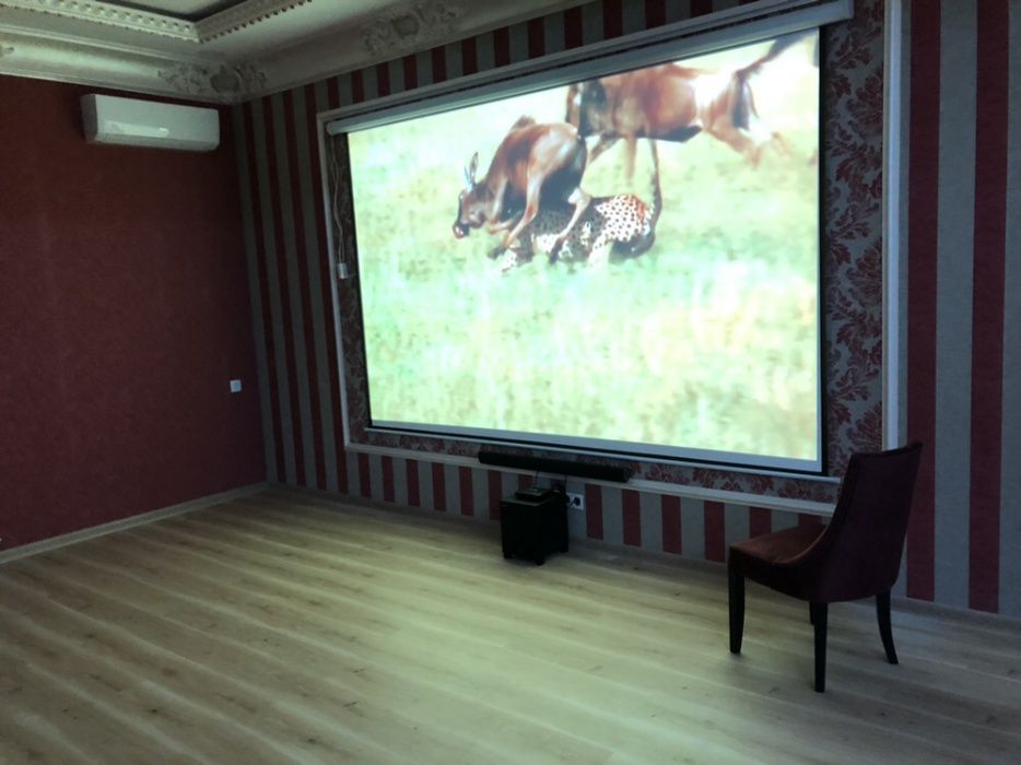 Аренда проектора с экраном и установкой