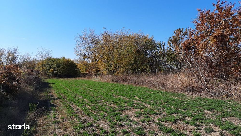 Vând proprietate în sat Brătești, com. Șirna, jud. Prahova