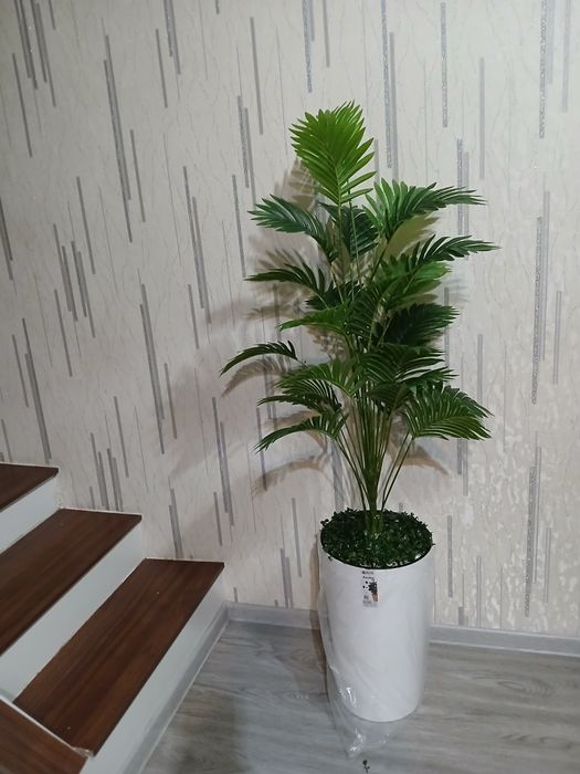 Суний гуллар сотилади.