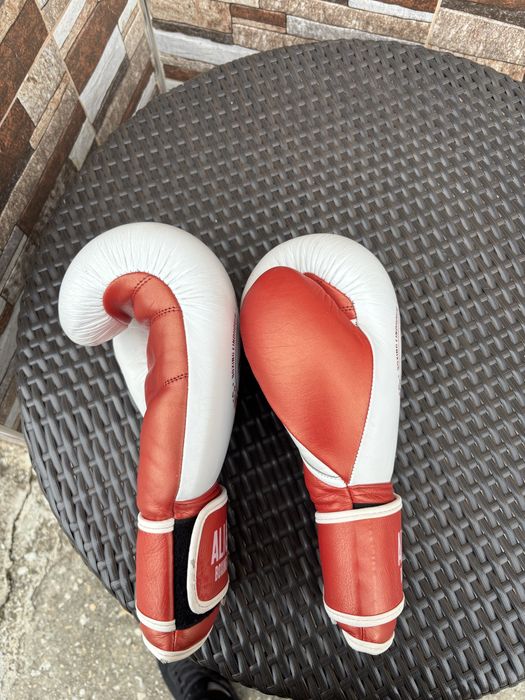 Боксови ракавици ALI&VANES