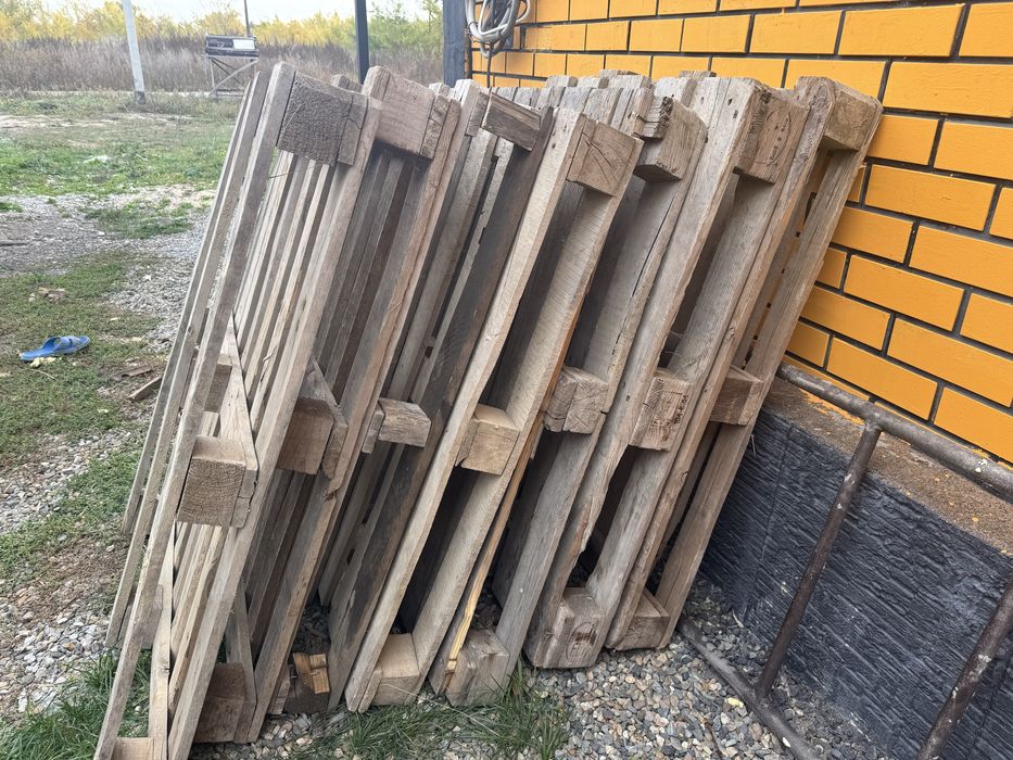 Поддоны 7 шт нормальные, 12000 тг сатам ,алсандар бүгін үйдеміз жарайм