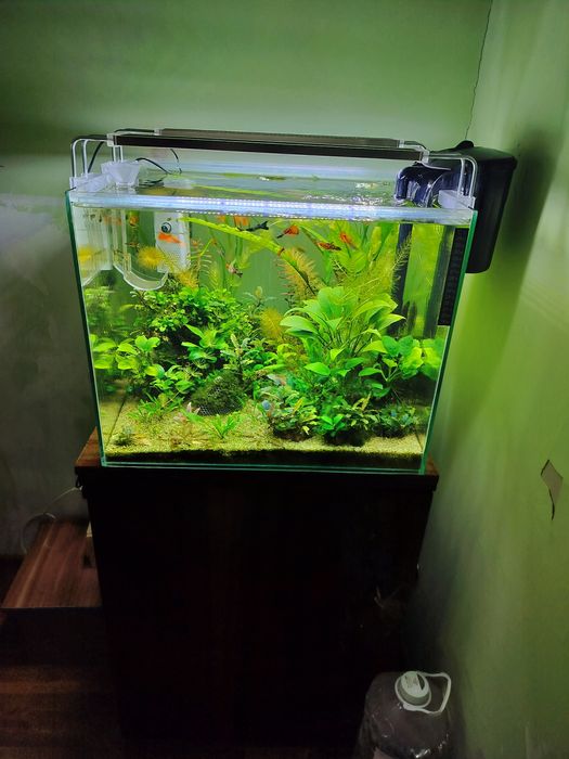 Продам аквариум травник.