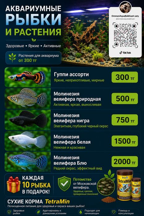 Аквариумные рыбки