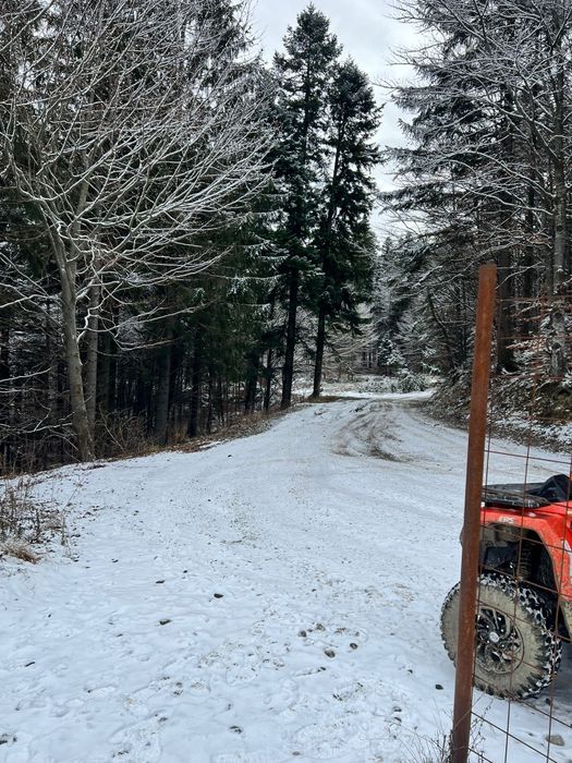 Inchiriere ATV Busteni Azuga Sinaia CEL MAI BUN PRET