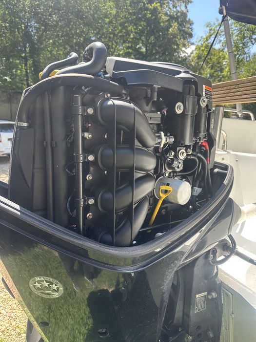 mercury 100 hp din 2016