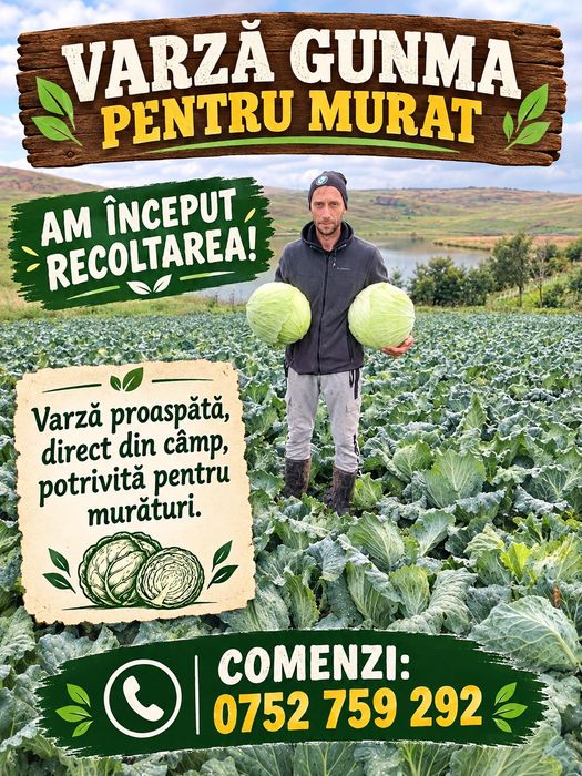Varza de vanzare pentru murat!