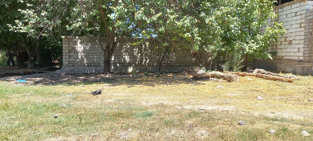 Yes joy sotiladi 2.5sotix